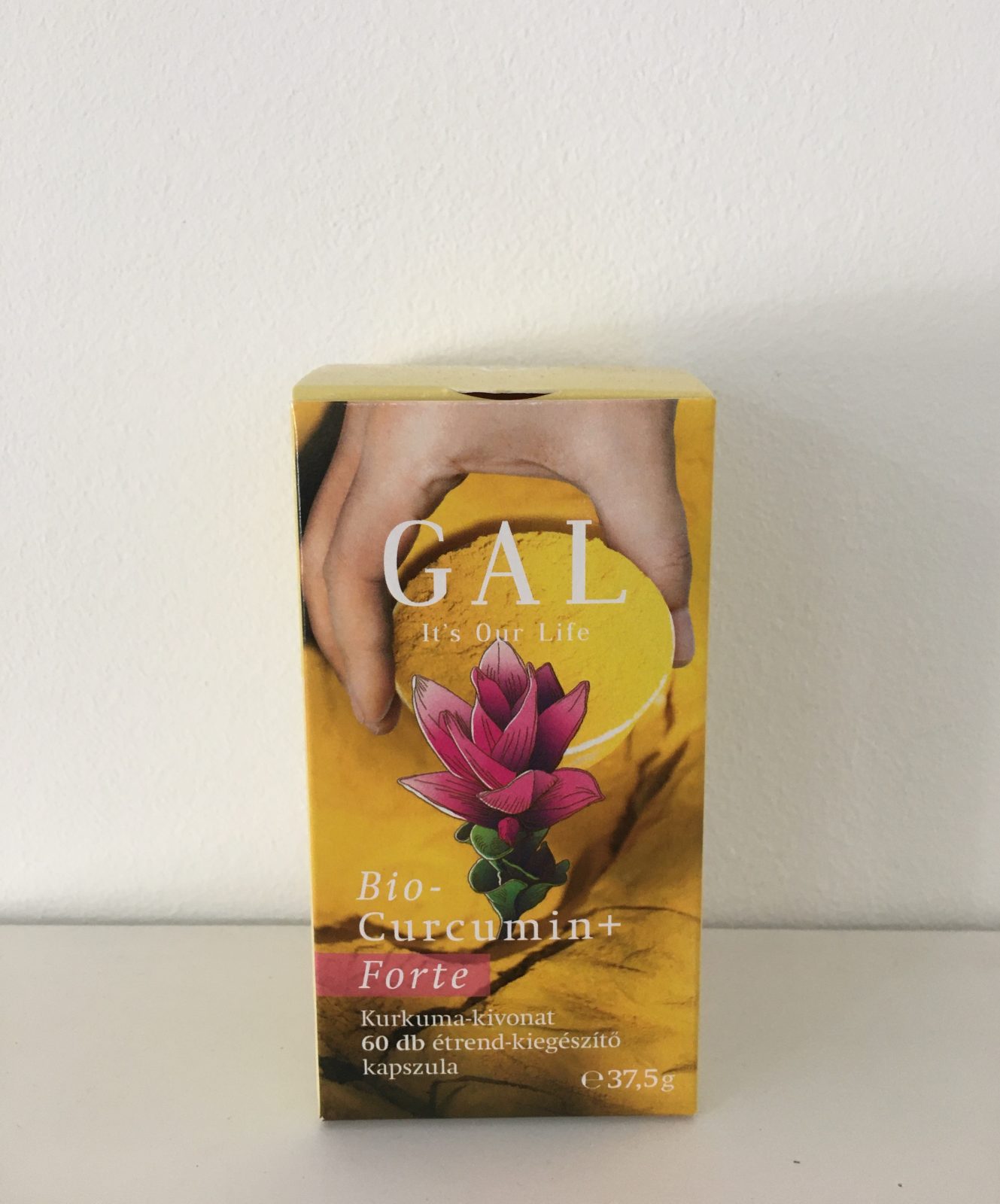 GAL Biocurcumin + Forte, 300 mg x 60 kapsúl